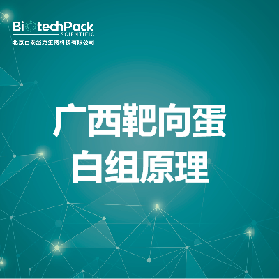 广西靶向蛋白组原理