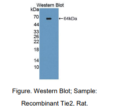 https://msimg.bioon.com/bionline/goods-no-pic.png