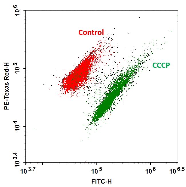 https://img.medsci.cn/e73eefcea40976357f460123cbf1e819c54e5106c9b457225be13b1cbc991aff.png