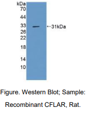 https://msimg.bioon.com/bionline/goods-no-pic.png