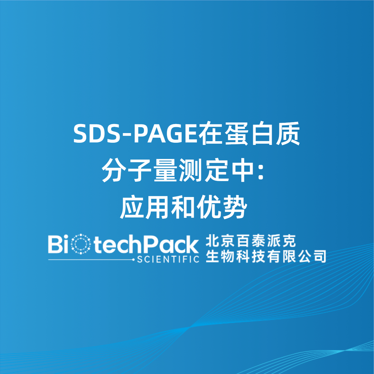 SDS-PAGE在蛋白质分子量测定中：应用和优势
