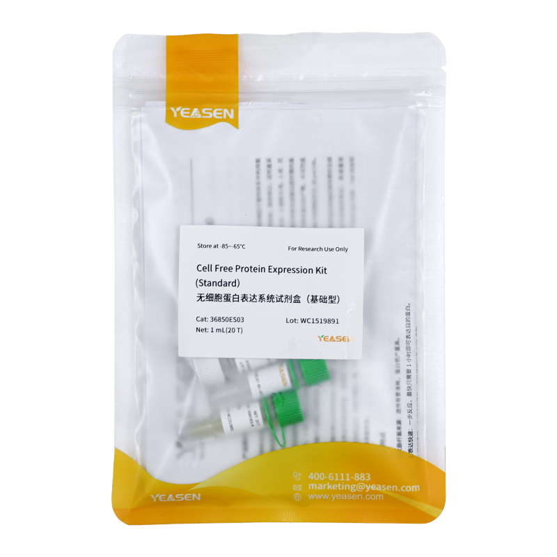 Cell Free Protein Expression Kit（Standard）無細胞蛋白表達系統試劑盒（基礎型）