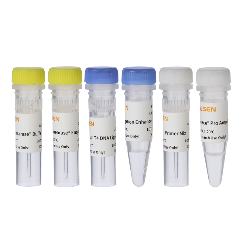 Hieff NGS® OnePot Pro DNA Library Prep Kit for Illumina®