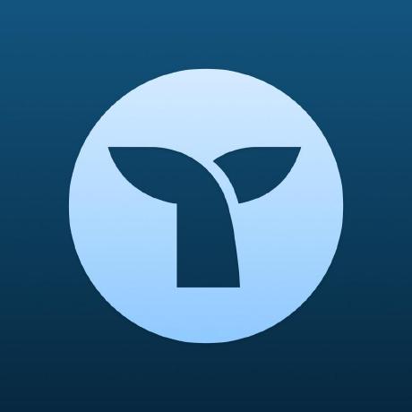 Triplewhale MCP Server