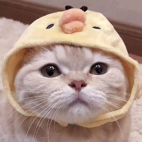 📦 Repository Archived