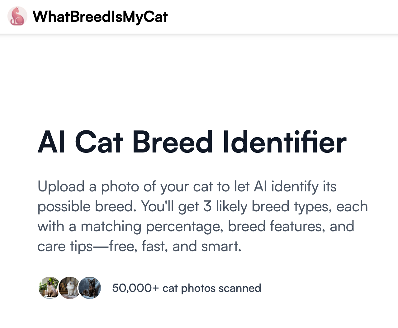AI Cat Breed Identifier