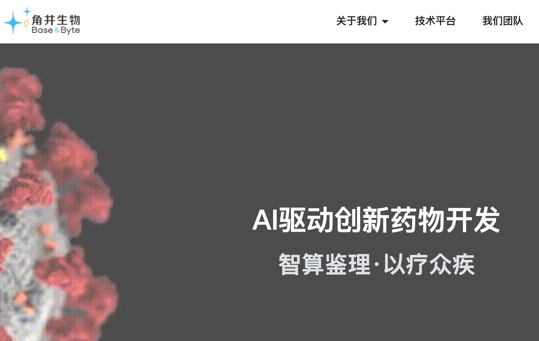 角井生物basenbyte
