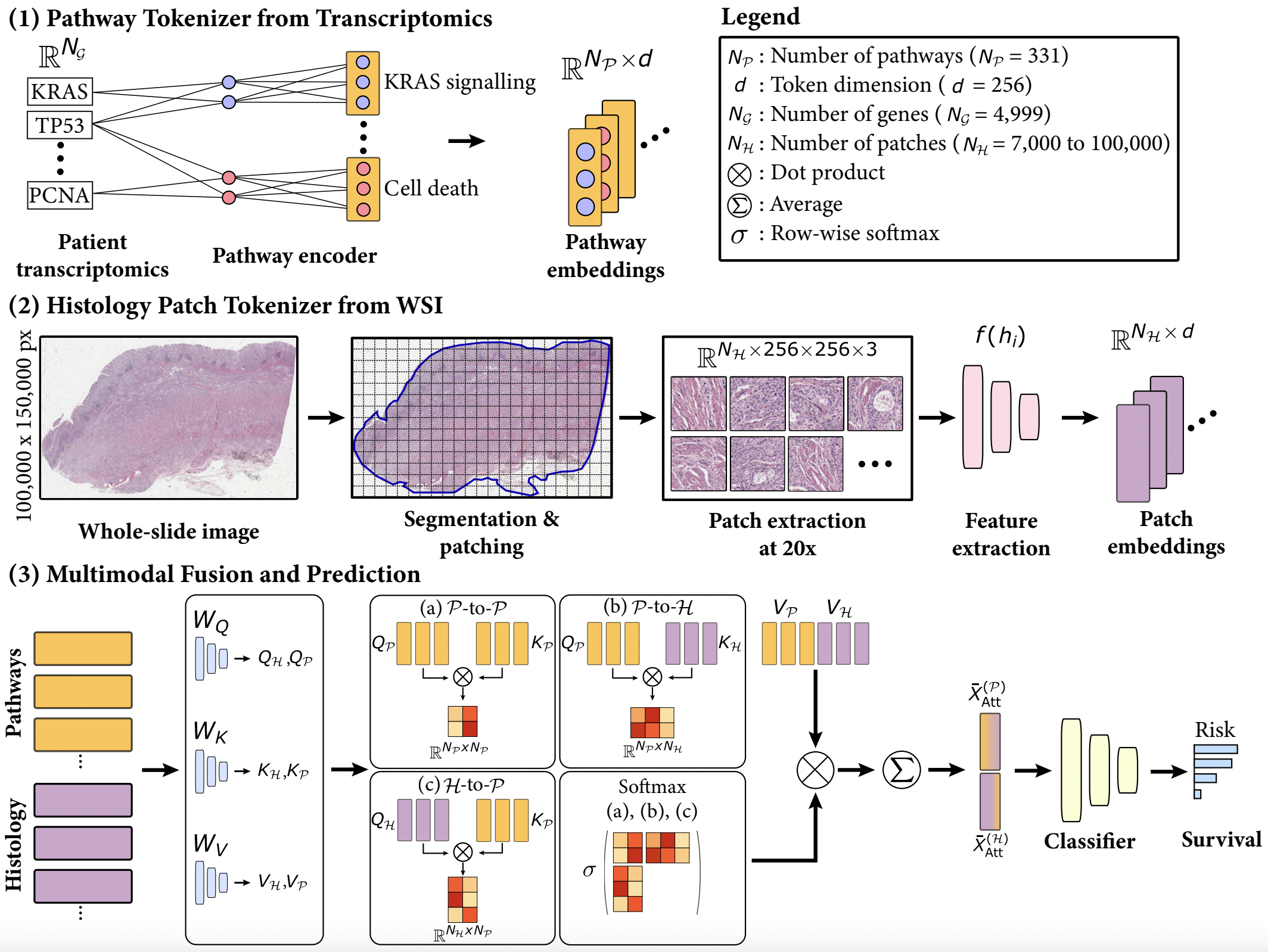 SurvPath