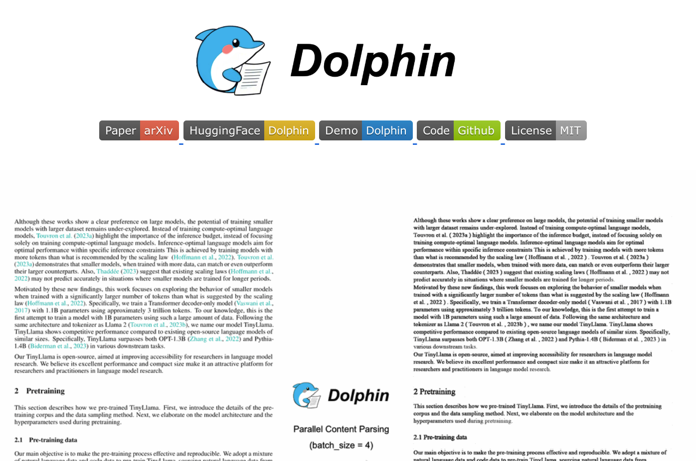 Dolphin