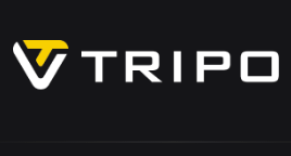 tripo3d