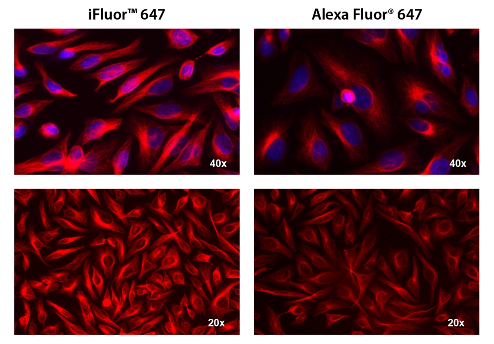 https://img.medsci.cn/e73eefcea40976357f460123cbf1e819c54e5106c9b457225be13b1cbc991aff.png