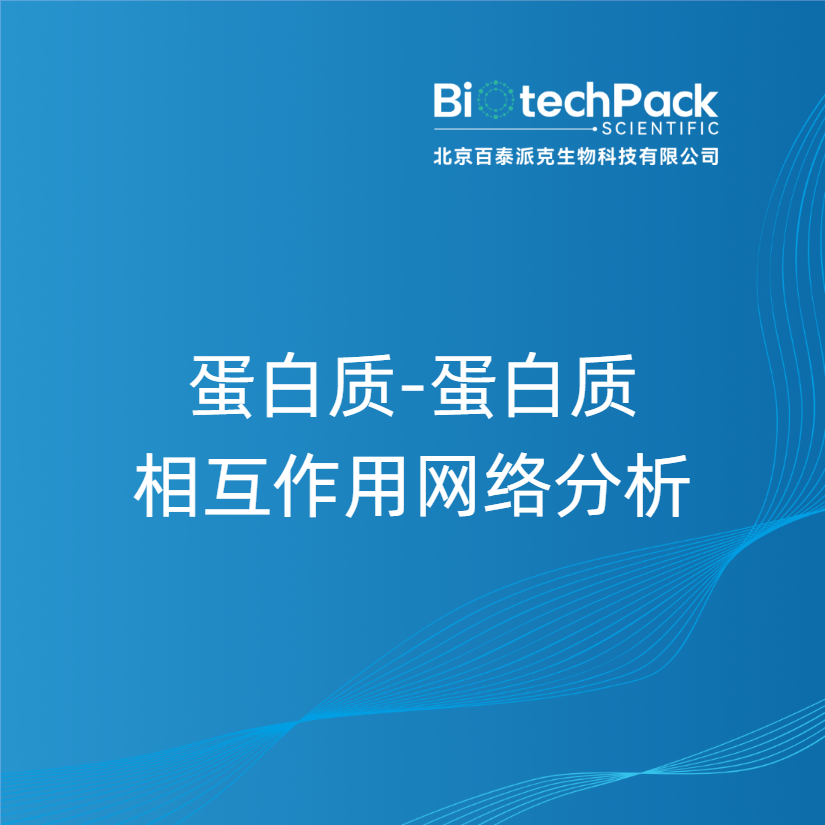 蛋白质-蛋白质相互作用网络分析