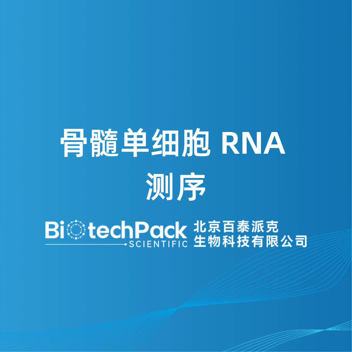 骨髓单细胞 RNA 测序