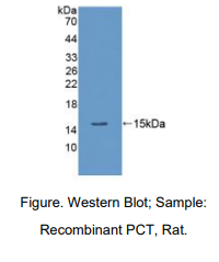 https://msimg.bioon.com/bionline/goods-no-pic.png