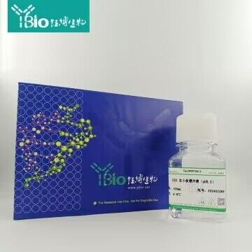 改良型Krebs-Henseleit粉剂(无碳酸氢钠,含钙)