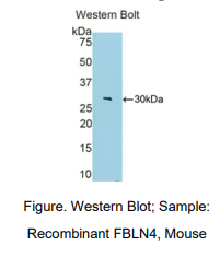 https://msimg.bioon.com/bionline/goods-no-pic.png