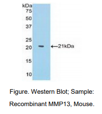 https://msimg.bioon.com/bionline/goods-no-pic.png