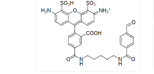 https://img.medsci.cn/e73eefcea40976357f460123cbf1e819c54e5106c9b457225be13b1cbc991aff.png