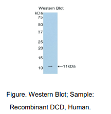 https://msimg.bioon.com/bionline/goods-no-pic.png