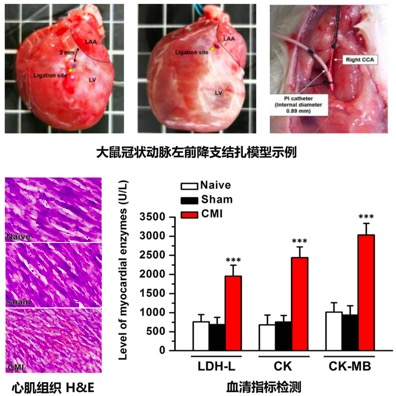 https://msimg.bioon.com/bionline/goods-no-pic.png