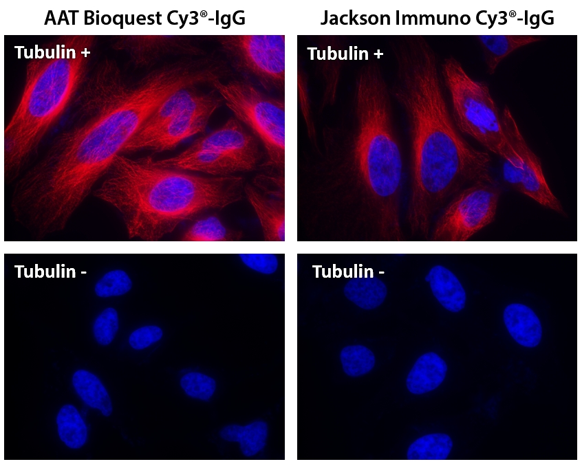 https://img.medsci.cn/e73eefcea40976357f460123cbf1e819c54e5106c9b457225be13b1cbc991aff.png