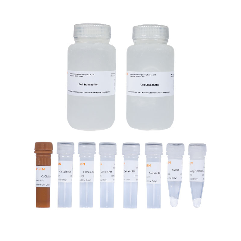 Mitochondrial Permeability Transition Pore Assay Kit( flow cytometry) 线粒体膜通透性转换孔检测试剂盒(流式分析)