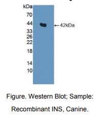 https://msimg.bioon.com/bionline/goods-no-pic.png