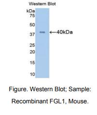 https://msimg.bioon.com/bionline/goods-no-pic.png