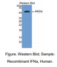 https://msimg.bioon.com/bionline/goods-no-pic.png