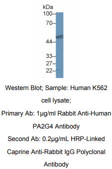 https://msimg.bioon.com/bionline/goods-no-pic.png