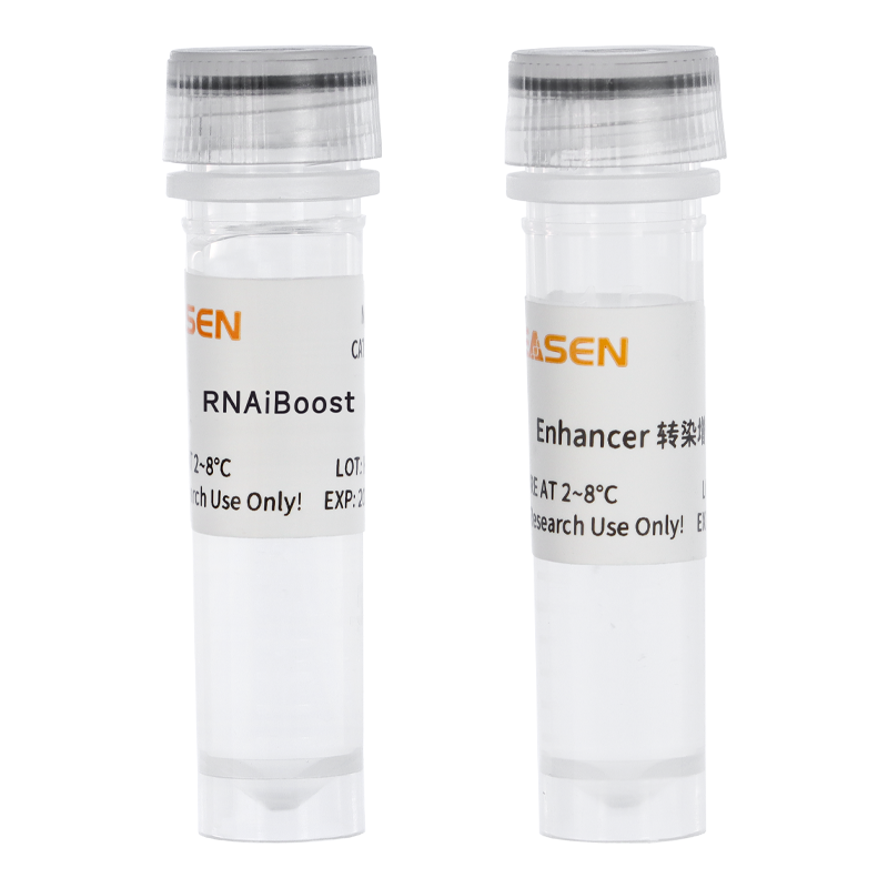 Hieff Trans®RNAiBoost Transfection Reagent转染试剂