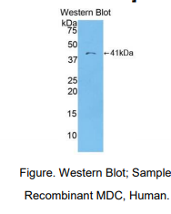 https://msimg.bioon.com/bionline/goods-no-pic.png