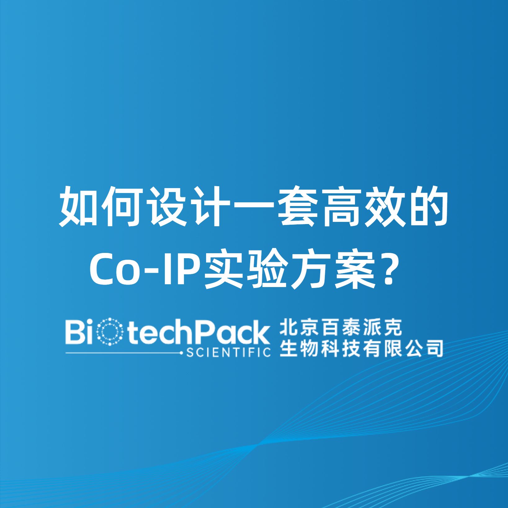 如何设计一套高效的Co‑IP实验方案？
