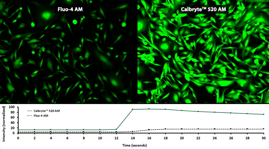 https://img.medsci.cn/e73eefcea40976357f460123cbf1e819c54e5106c9b457225be13b1cbc991aff.png