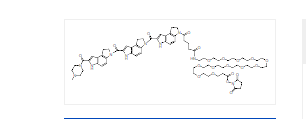 小沟结合物探针CDPI3琥珀酰亚胺酯
