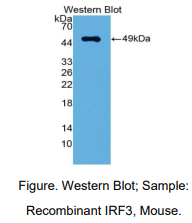 https://msimg.bioon.com/bionline/goods-no-pic.png