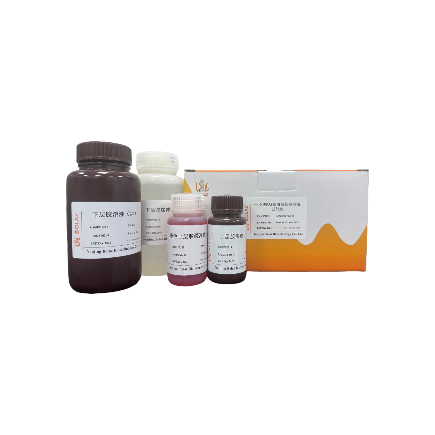 一步法 PAGE 凝胶快速制备试剂盒