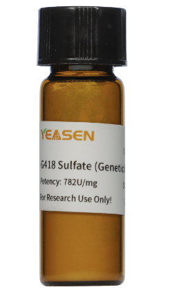 Geneticin遗传霉素 G418硫酸盐(G418 Sulfate)