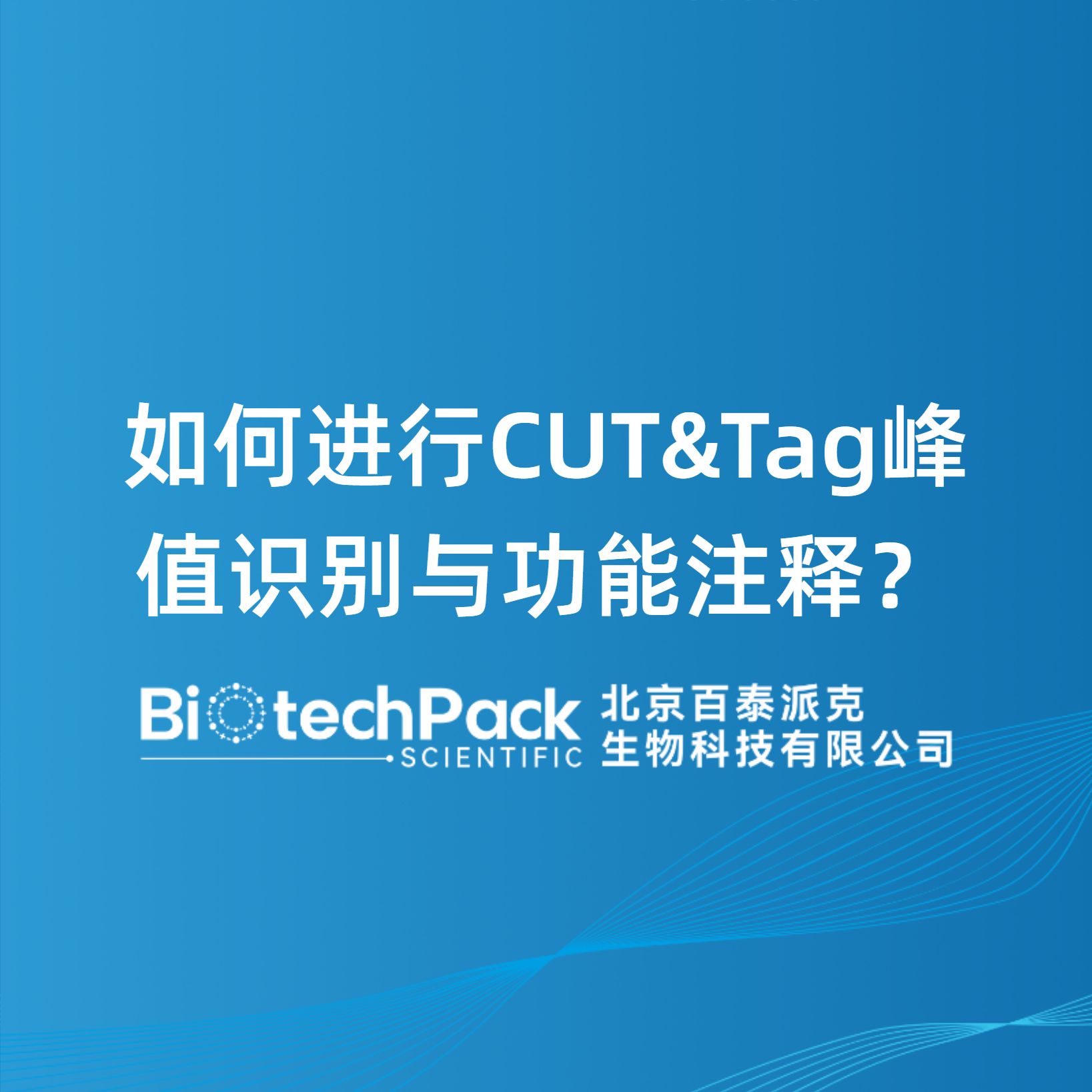 如何进行CUT&Tag峰值识别与功能注释？