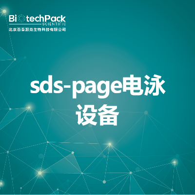 sds-page电泳设备