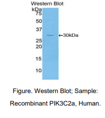 https://msimg.bioon.com/bionline/goods-no-pic.png