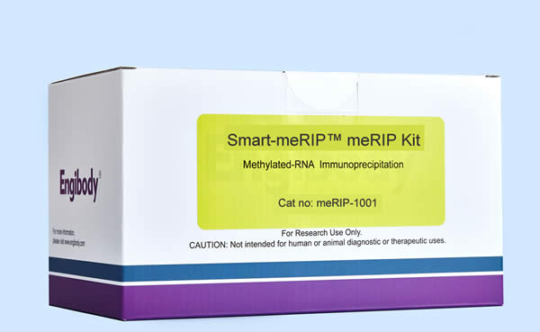 https://img.medsci.cn/3130de052a98e259a93b93bc9ac2c5253c5c2bb0a270ae61f8cfec132b62740f.jpg