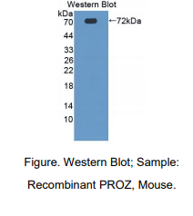 https://msimg.bioon.com/bionline/goods-no-pic.png