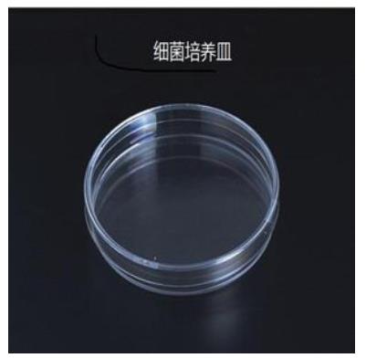 Fisherbrand 细菌培养皿 60x15mm