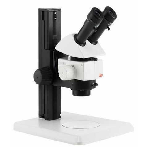 https://img.medsci.cn/ecfa0ae589c6942401cac82acb27a0e0f3e438877419b9552f7e5f80bea980e5.jpg