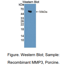 https://msimg.bioon.com/bionline/goods-no-pic.png