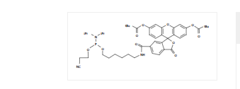 6-FAM亚磷酰胺单体 5’-荧光素氨基磷酸酯 CAS 204697-37-0
