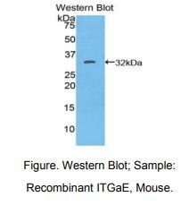 https://msimg.bioon.com/bionline/goods-no-pic.png