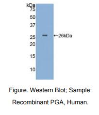 https://msimg.bioon.com/bionline/goods-no-pic.png