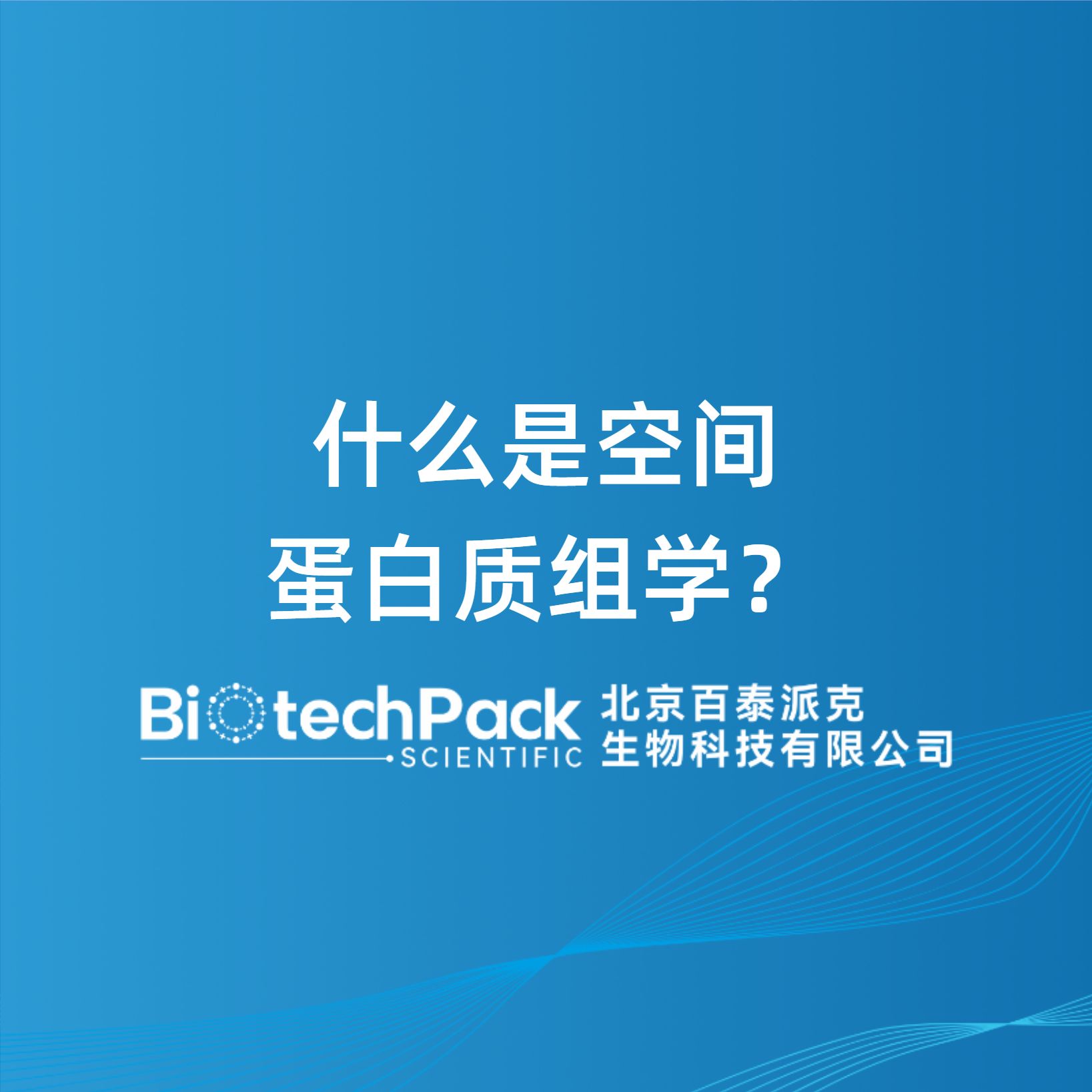 什么是空间蛋白质组学？